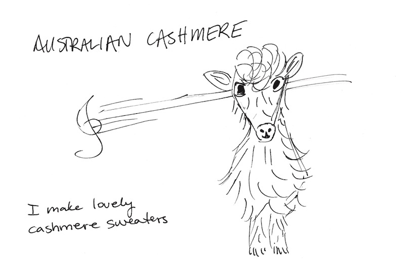 Australian Cashmere. I make lovely cashmere sweaters (A Goat's Eye On The Note - Postcard Series No. 4)